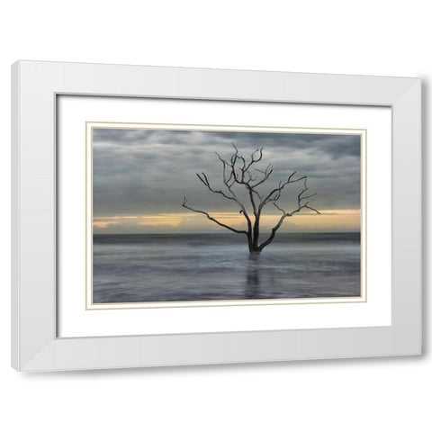 Gray Skies White Modern Wood Framed Art Print with Double Matting by Head, Danny