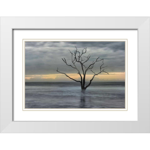 Gray Skies White Modern Wood Framed Art Print with Double Matting by Head, Danny