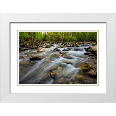 Golden Flow White Modern Wood Framed Art Print with Double Matting by Head, Danny