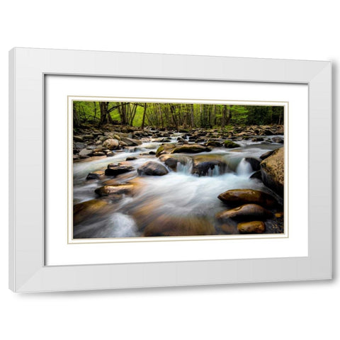 Spring on Porters Creek White Modern Wood Framed Art Print with Double Matting by Head, Danny