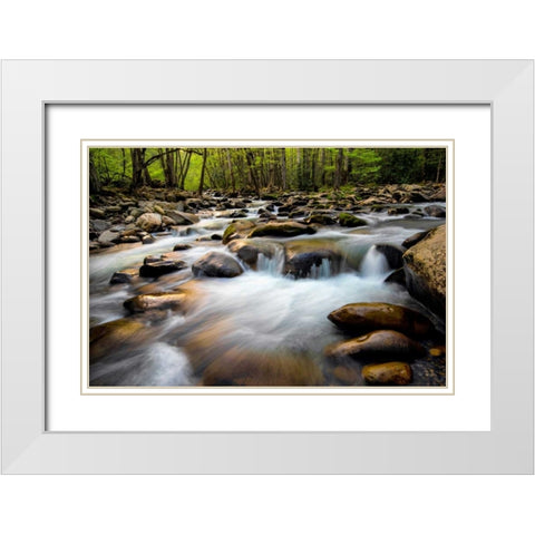 Spring on Porters Creek White Modern Wood Framed Art Print with Double Matting by Head, Danny