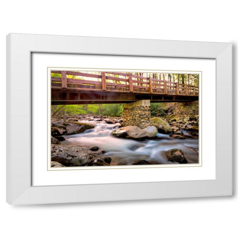 Bridge and Cascade III White Modern Wood Framed Art Print with Double Matting by Head, Danny