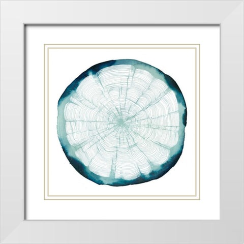 Tree Ring Overlay II White Modern Wood Framed Art Print with Double Matting by Popp, Grace