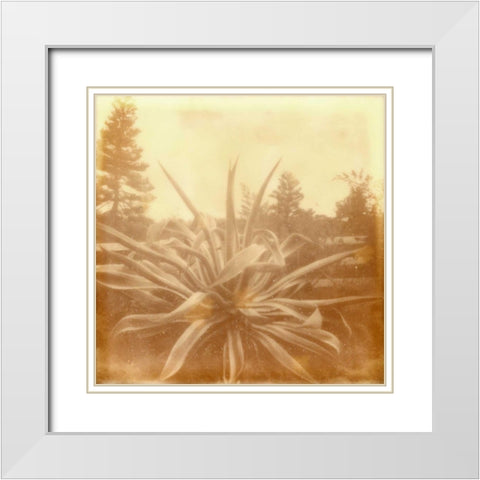 Halia Aloha IX White Modern Wood Framed Art Print with Double Matting by Johnson, Jason