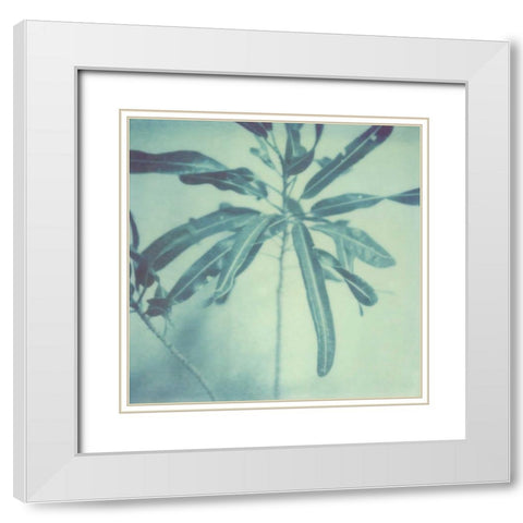 Color Shade VIII White Modern Wood Framed Art Print with Double Matting by Johnson, Jason