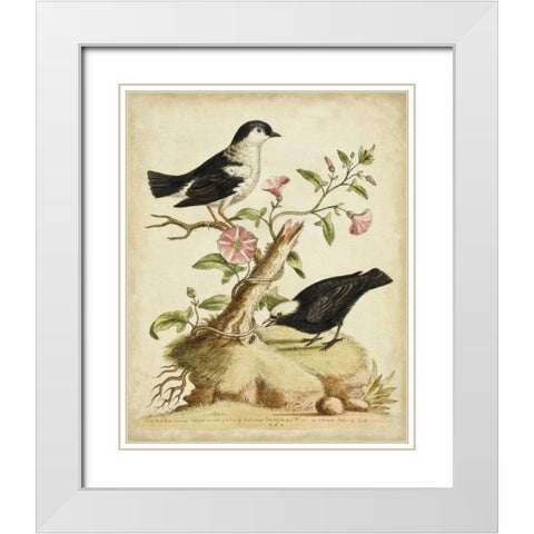 Natural Habitat I White Modern Wood Framed Art Print with Double Matting by Edwards, George