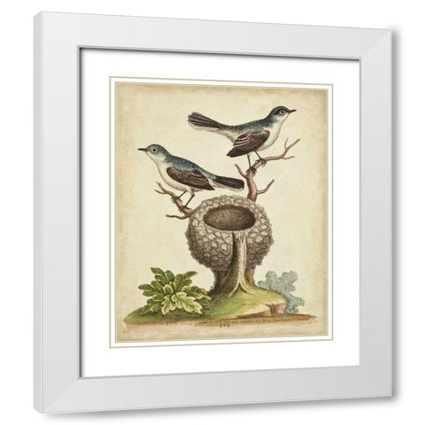 Natural Habitat II White Modern Wood Framed Art Print with Double Matting by Edwards, George