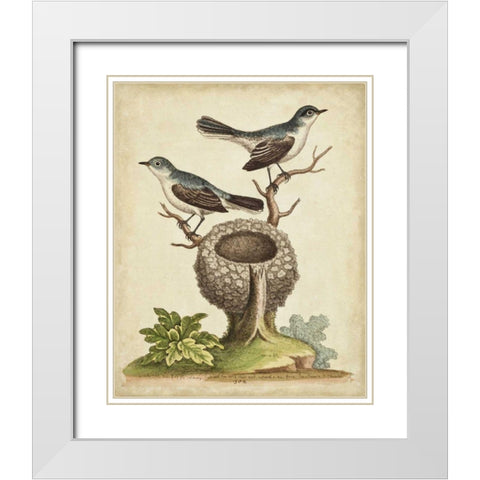 Natural Habitat II White Modern Wood Framed Art Print with Double Matting by Edwards, George