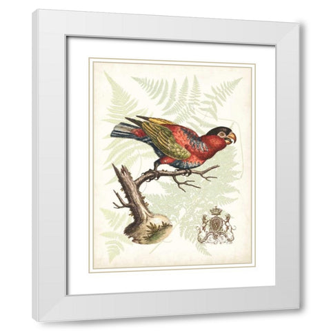 Regal Parrots I White Modern Wood Framed Art Print with Double Matting by Vision Studio