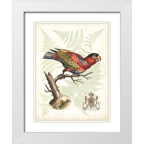 Regal Parrots I White Modern Wood Framed Art Print with Double Matting by Vision Studio