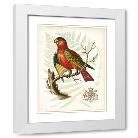 Regal Parrots II White Modern Wood Framed Art Print with Double Matting by Vision Studio