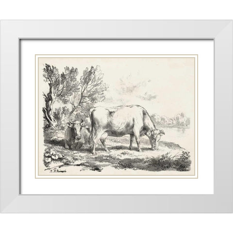 Rural Charms III White Modern Wood Framed Art Print with Double Matting by Unknown