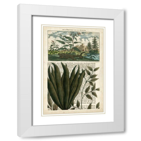 Journal of the Tropics III White Modern Wood Framed Art Print with Double Matting by Vision Studio