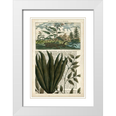 Journal of the Tropics III White Modern Wood Framed Art Print with Double Matting by Vision Studio