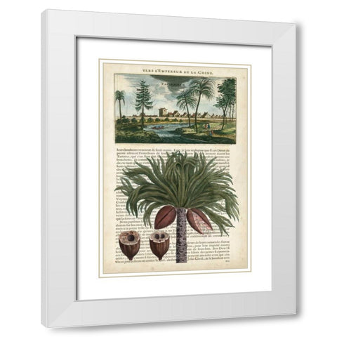 Journal of the Tropics IV White Modern Wood Framed Art Print with Double Matting by Vision Studio