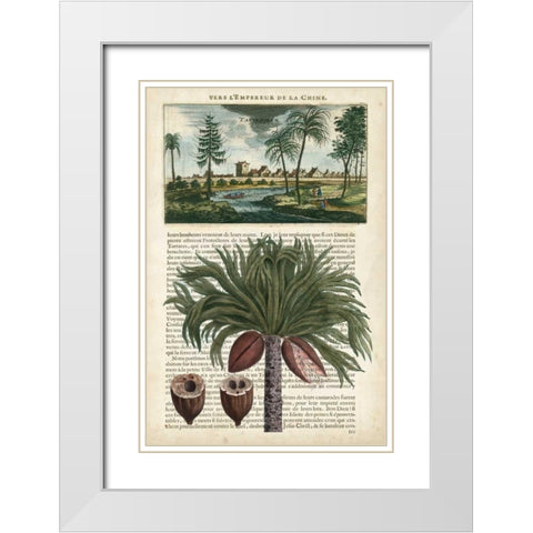 Journal of the Tropics IV White Modern Wood Framed Art Print with Double Matting by Vision Studio