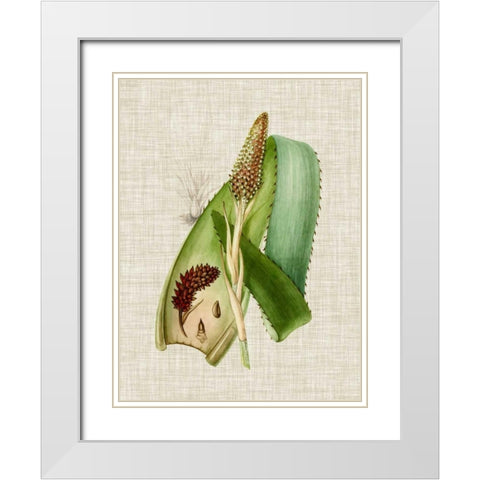 Elegant Tropicals I White Modern Wood Framed Art Print with Double Matting by Vision Studio