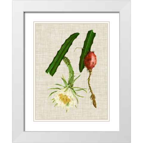 Elegant Tropicals II White Modern Wood Framed Art Print with Double Matting by Vision Studio