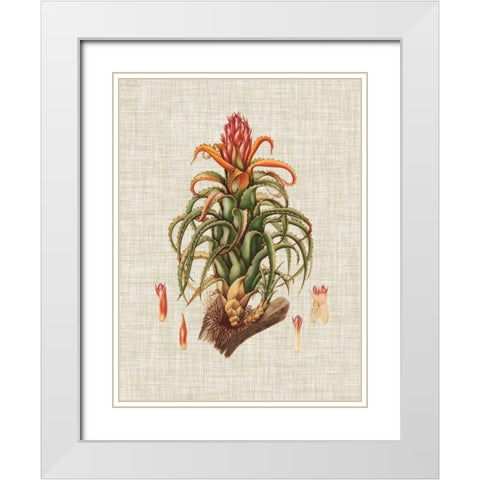 Elegant Tropicals IV White Modern Wood Framed Art Print with Double Matting by Vision Studio