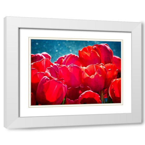 Fuchsia Tulips II White Modern Wood Framed Art Print with Double Matting by Perry, Rachel