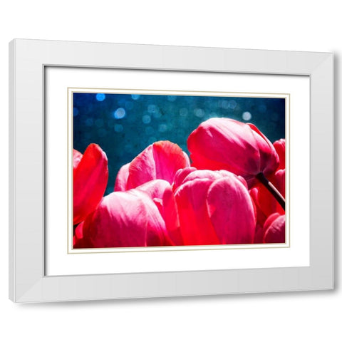 Fuchsia Tulips III White Modern Wood Framed Art Print with Double Matting by Perry, Rachel