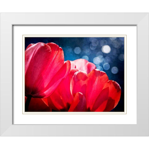 Fuchsia Tulips IV White Modern Wood Framed Art Print with Double Matting by Perry, Rachel