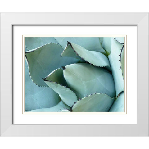 Agave Detail I White Modern Wood Framed Art Print with Double Matting by Alison Jerry