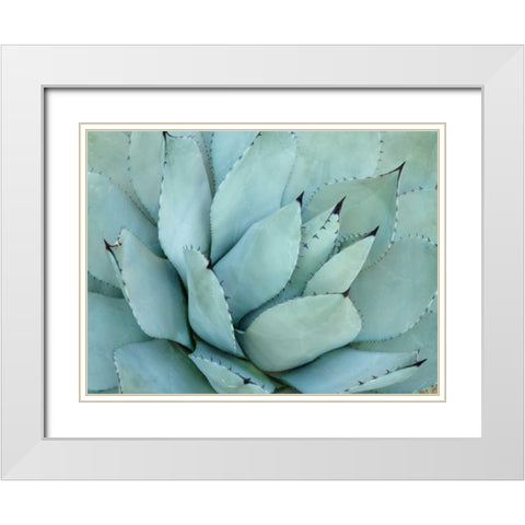 Agave Detail IV White Modern Wood Framed Art Print with Double Matting by Alison Jerry