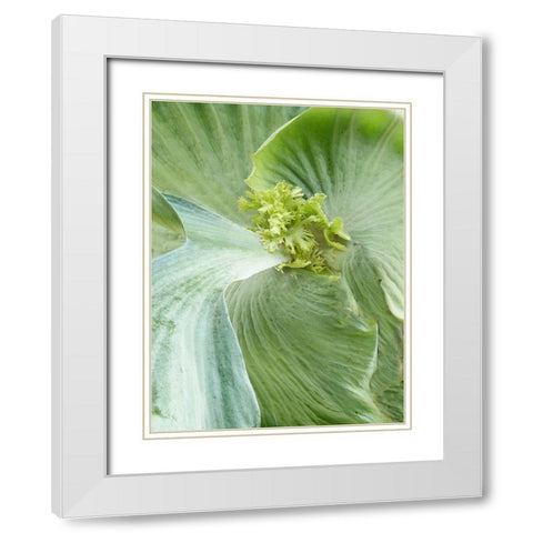 Banana Leaf II White Modern Wood Framed Art Print with Double Matting by Jerry, Alison