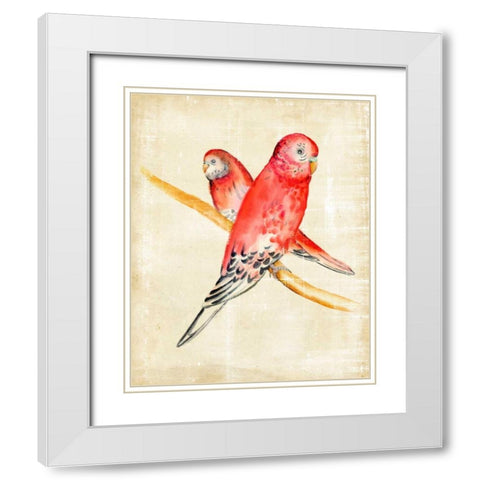Fanciful Birds I White Modern Wood Framed Art Print with Double Matting by Zarris, Chariklia
