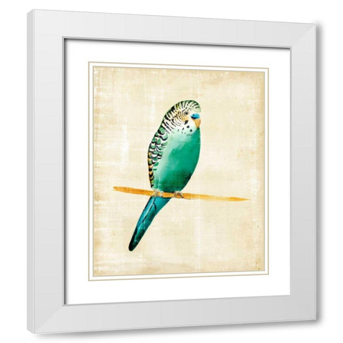 Fanciful Birds II White Modern Wood Framed Art Print with Double Matting by Zarris, Chariklia