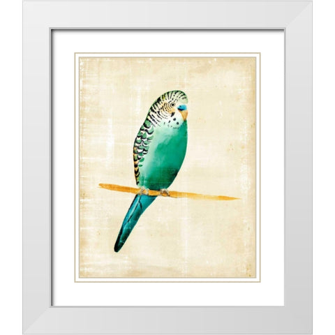 Fanciful Birds II White Modern Wood Framed Art Print with Double Matting by Zarris, Chariklia