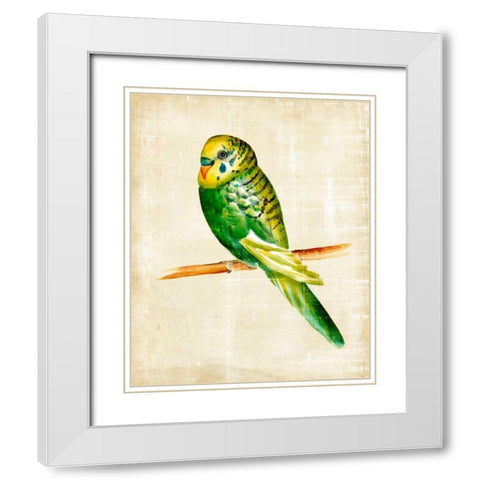 Fanciful Birds III White Modern Wood Framed Art Print with Double Matting by Zarris, Chariklia