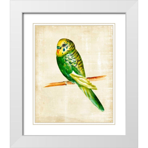 Fanciful Birds III White Modern Wood Framed Art Print with Double Matting by Zarris, Chariklia