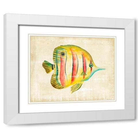 Aquarium Fish III White Modern Wood Framed Art Print with Double Matting by Zarris, Chariklia