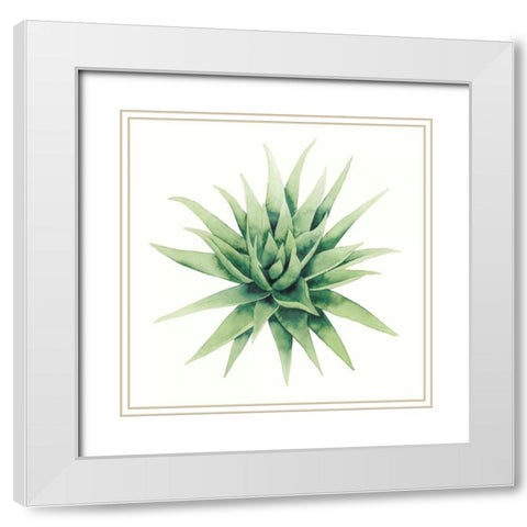 Tropical Plant III White Modern Wood Framed Art Print with Double Matting by Popp, Grace