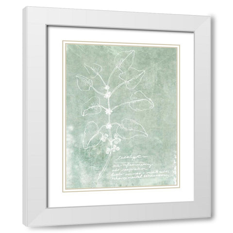 Essential Botanicals I White Modern Wood Framed Art Print with Double Matting by Fagalde, Jarman