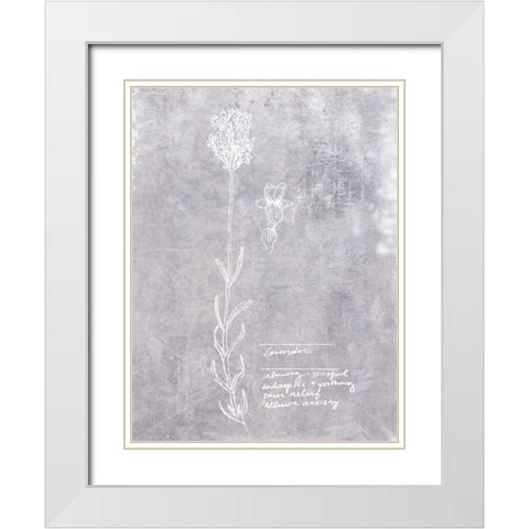 Essential Botanicals II White Modern Wood Framed Art Print with Double Matting by Fagalde, Jarman