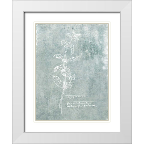 Essential Botanicals III White Modern Wood Framed Art Print with Double Matting by Fagalde, Jarman