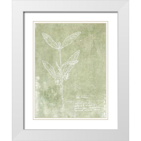 Essential Botanicals IV White Modern Wood Framed Art Print with Double Matting by Fagalde, Jarman