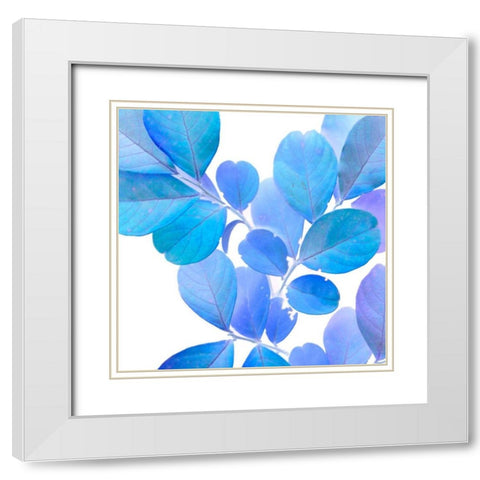 Xray Leaves I White Modern Wood Framed Art Print with Double Matting by Vision Studio
