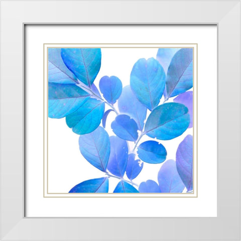 Xray Leaves I White Modern Wood Framed Art Print with Double Matting by Vision Studio