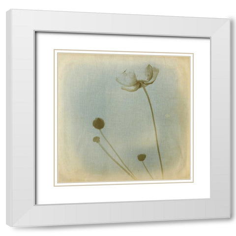 Faded Away I White Modern Wood Framed Art Print with Double Matting by Jorgensen, Jennifer
