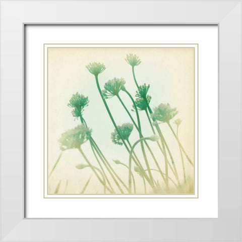 Faded Away II White Modern Wood Framed Art Print with Double Matting by Jorgensen, Jennifer