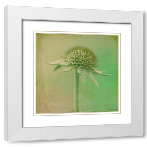 Faded Away III White Modern Wood Framed Art Print with Double Matting by Jorgensen, Jennifer