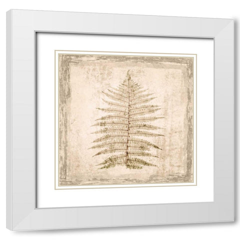 Stone Leaf I White Modern Wood Framed Art Print with Double Matting by Orlov, Irena