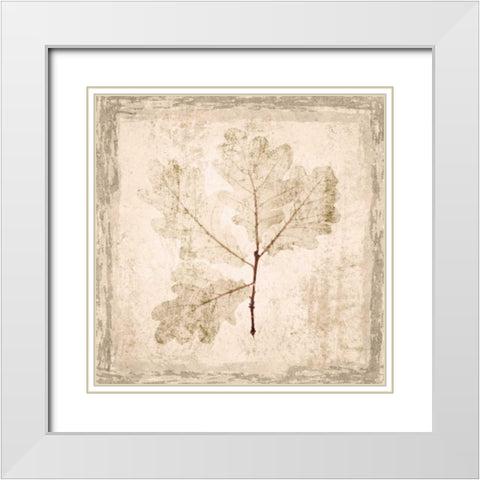 Stone Leaf III White Modern Wood Framed Art Print with Double Matting by Orlov, Irena
