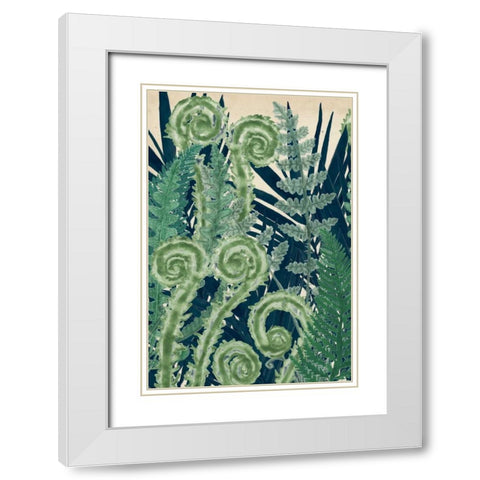 Fiddlehead Waltz I White Modern Wood Framed Art Print with Double Matting by McCavitt, Naomi