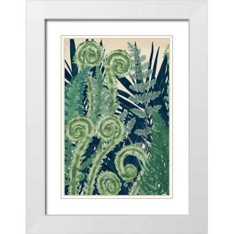 Fiddlehead Waltz I White Modern Wood Framed Art Print with Double Matting by McCavitt, Naomi