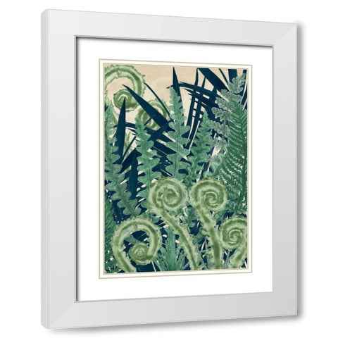 Fiddlehead Waltz II White Modern Wood Framed Art Print with Double Matting by McCavitt, Naomi